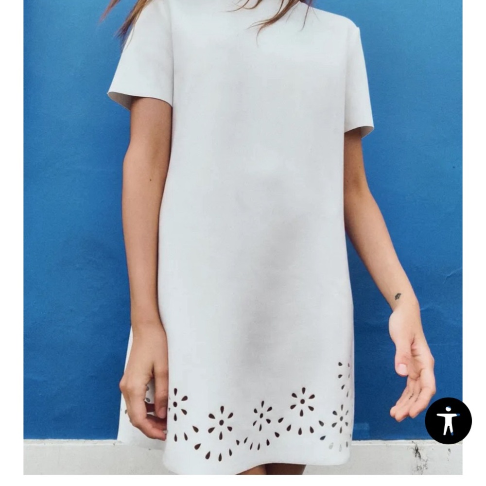 Zara Mini Dress with Cutout Design. Minimalist and Pretty